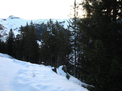 Holiday park Grand Massif Family Retreat - Environment photo 23