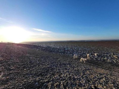 Holiday park Modern chalet near Lake Sneek - Environment photo 36