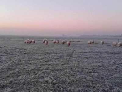 Holiday park Modern chalet near Lake Sneek - Environment photo 38