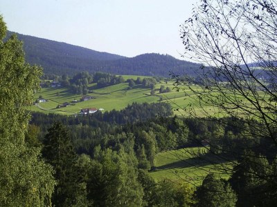 Holiday park Blockhaus in Rinchnach mit Panoramablick - Outdoor photo 8