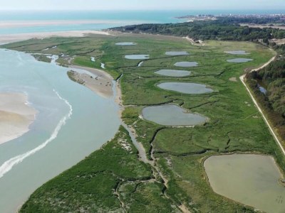 Holiday park Large Holiday Home by Coast - Environment photo 27