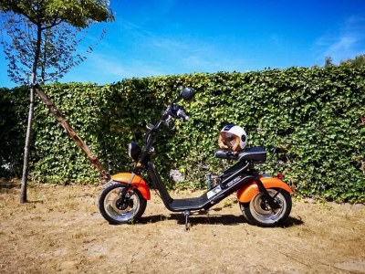 Holiday park Large Holiday Home by Coast - Outdoor photo 34