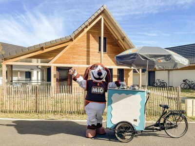 Holiday park Large Holiday Home by Coast - Outdoor photo 35