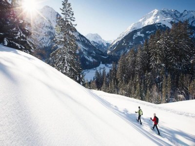 Apartment Chalet in Steeg nahe Skipisten Lechtal - Environment photo 16