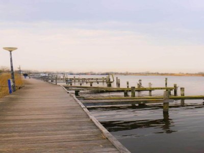 Holiday park Lakeside Villa Near Sneekermeer - Environment photo 15