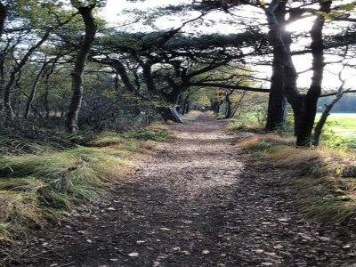 Holiday park Lakeside Villa Near Sneekermeer - Environment photo 30