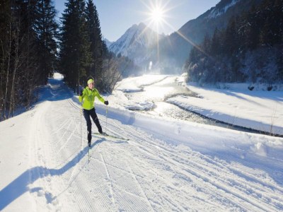 Apartment Chalet in Steeg near Ski Slopes - Environment photo 27