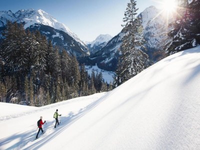 Apartment Chalet in Steeg near Ski Slopes - Environment photo 29