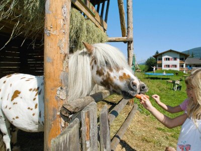 Holiday park Haus-Nr: OSB02010-CYA - Outdoor photo 10