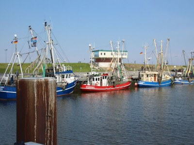 Holiday house Ferienhaus Ganescha, Utarp - Environment photo 21