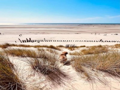 Holiday park Strandhaus in Frankreich an der Küste - Environment photo 19