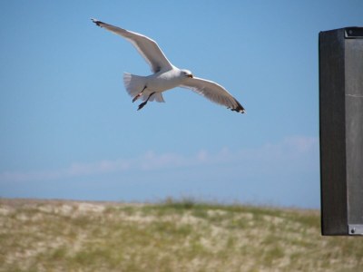 Bungalow Bungalow, Dornumersiel - Outdoor photo 11