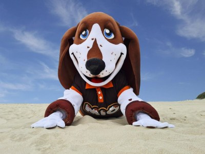 Holiday park Geräumige Ferienwohnung mit Garten - Outdoor photo 36