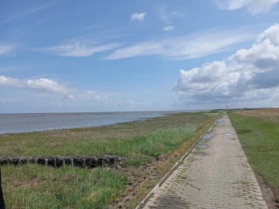 Bungalow Ferienbungalow in Dornumersiel - Environment photo 25