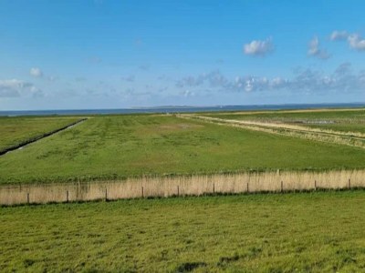 Bungalow Ferienbungalow in Dornumersiel - Environment photo 36