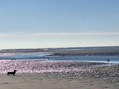 Holiday park Wohnung in Frankreich mit Gartenterrasse - Environment photo 27