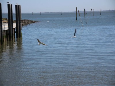 Apartment Ferienwohnung mit Sonnenterrasse in Dornumersiel - Environment photo 16