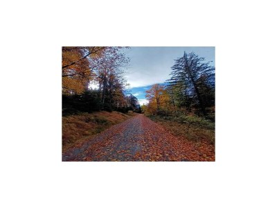 Holiday park Ferienhaus in Neureichenau am Bayerischen Wald - Outdoor photo 31