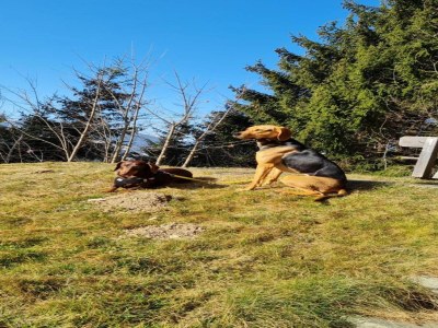 Holiday house Ferienhaus in Flachau - Environment photo 34