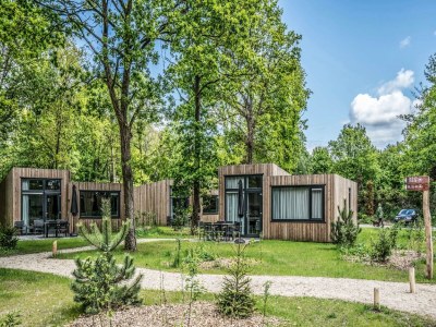 Holiday park Lodge in Schaijk with Garden Terrace - Environment photo 12