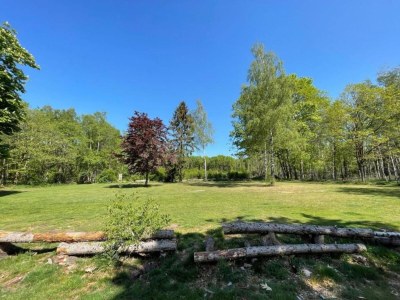 Holiday park Lodge in Schaijk with Garden Terrace - Environment photo 20