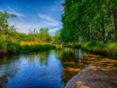 Holiday park Water Lodge in Schaijk by the Waterside - Environment photo 10