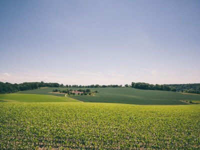 Holiday park Hillside Bungalow w/ Garden - Environment photo 16
