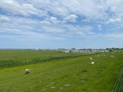 Apartment Ferienwohnung, Dornumersiel - Environment photo 14