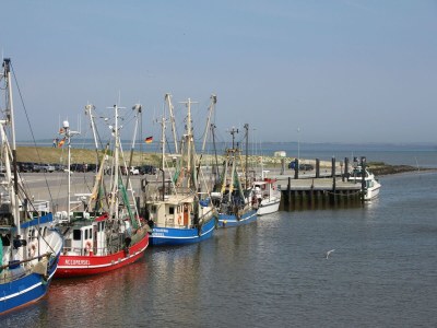 Apartment Ferienwohnung, Dornumersiel - Environment photo 16