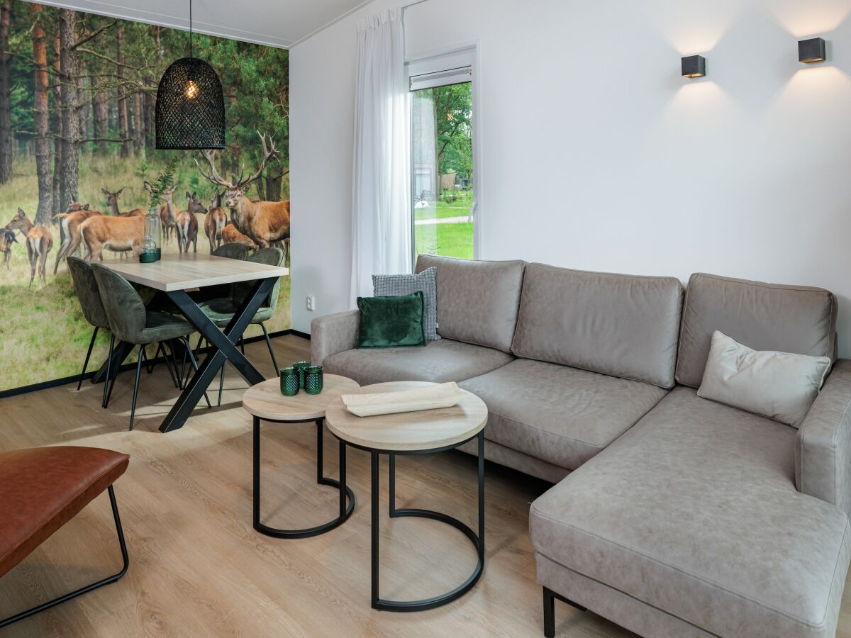 Holiday park Lodge in Schaijk near Green Holiday Park - Features photo 3