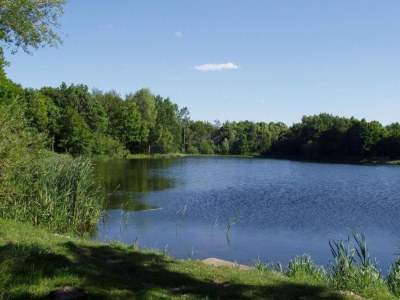 Holiday park Lodge in Schaijk near Green Holiday Park - Environment photo 13