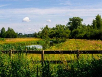 Holiday park Lodge in Schaijk near Green Holiday Park - Environment photo 14