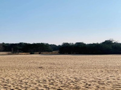 Holiday park Lodge in Schaijk near Green Holiday Park - Environment photo 19