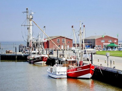 Bungalow Bungalow, Dornumersiel - Environment photo 28