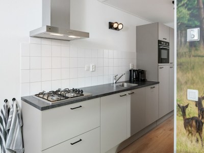 Holiday park Lodge in Schaijk nahe grünen Wäldern - Features photo 6