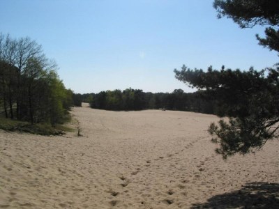 Holiday park Lodge in Schaijk mit privater Sauna - Environment photo 15