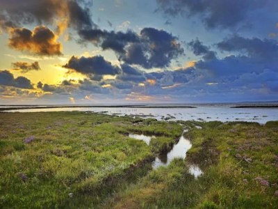 Bungalow Ferienhaus Wiesengrund mit Sauna, Dornumersiel - Environment photo 28