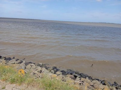 Bungalow Ferienhaus Wiesengrund mit Sauna, Dornumersiel - Environment photo 30