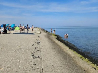 Bungalow Ferienhaus Wiesengrund mit Sauna, Dornumersiel - Environment photo 31