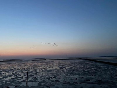 Bungalow Ferienhaus Wiesengrund mit Sauna, Dornumersiel - Environment photo 35