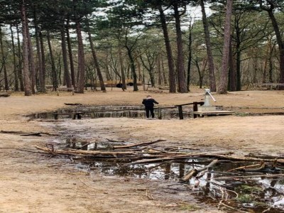 Holiday park Villa in Schaijk nahe Waldpark - Environment photo 22