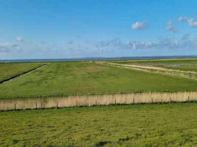 Bungalow Bungalow Klönsnack, Dornumersiel - Environment photo 35