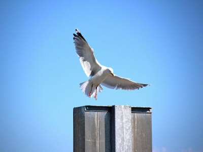 Bungalow Bungalow Klönsnack, Dornumersiel - Outdoor photo 37