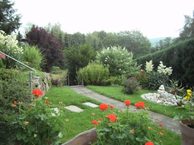 Holiday apartment Anita Wald - Outdoor photo 5