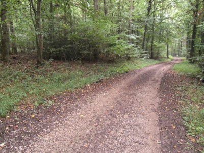 Holiday apartment Anita Wald - Environment photo 20