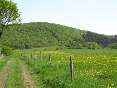Holiday apartment Anita Wald - Environment photo 21