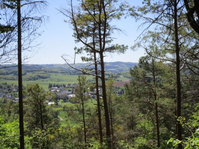 Holiday apartment Anita Wald - Environment photo 26