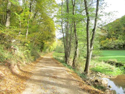 Holiday apartment Anita Wald - Environment photo 27