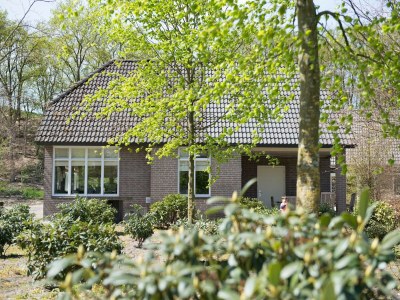 Holiday park Villa in Netherlands with Sauna & Comfort - Outdoor photo 2