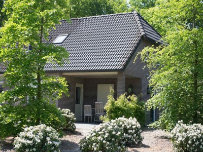 Holiday park Villa in Netherlands with Sauna & Comfort - Outdoor photo 3